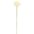 5570 Sztuczne kwiaty – gerbera 52 cm - 4.jpg