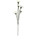 5587 Sztuczne kwiaty – goździki 5 kwiatów 67 cm - 7.jpg