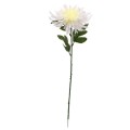 5594 Sztuczne kwiaty – chryzantema 70 cm - 4.jpg