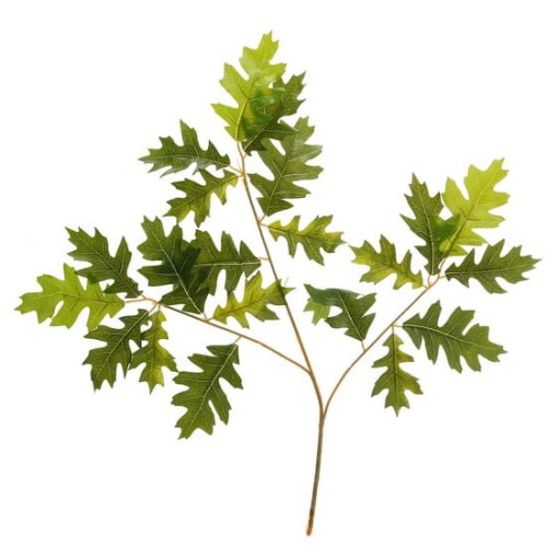 4542 Sztuczne liście - dąb 60 cm (zielone).jpg