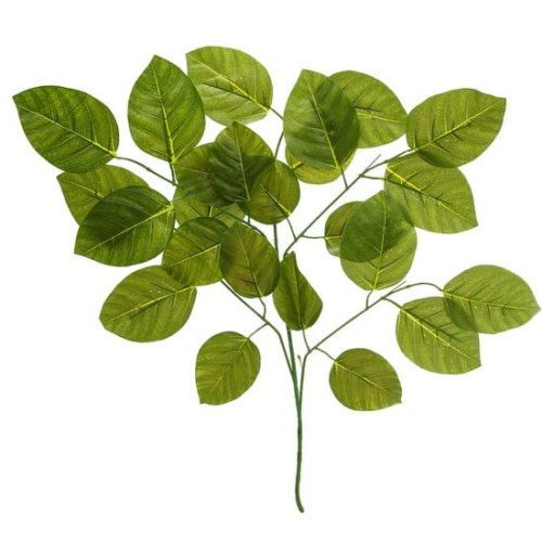 4597 Sztuczne liście – magnolia 80 cm (zielone).jpg
