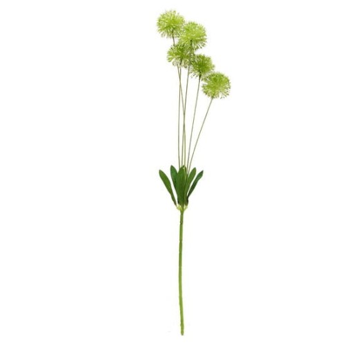 5600 Sztuczne kwiaty – czosnek allium 5 kwiatów 73 cm – zielony.jpg