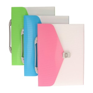 TECZKA Z PRZEGRÓDKAMI A4 1256