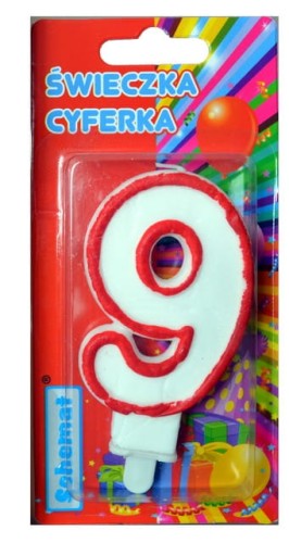 9313.jpg